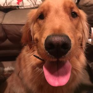 Meet your Posher, Rayka